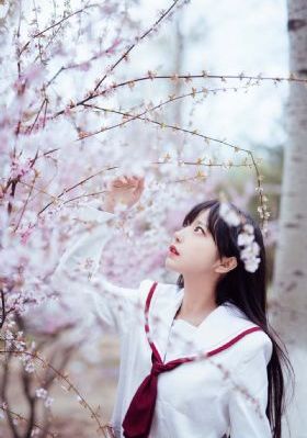 2019年国产电视剧_蓝光神马影院在线