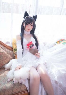 惩戒1狂热的工作指导观看顺序_1080P免费观看